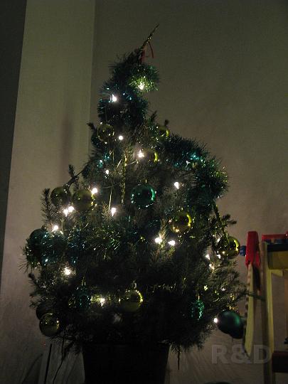 Imme 13 december 2008 (1) kerstboom.JPG